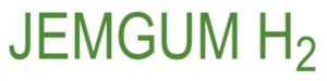 Logo JEMGUM H2